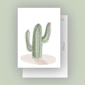 Cactus_002